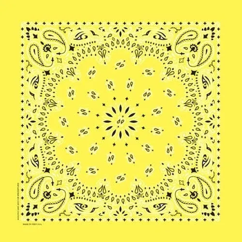 NT4403 Bandana Paisley Yellow