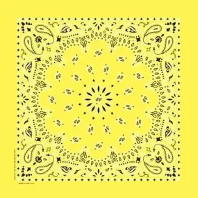 NT4403 Bandana Paisley Yellow